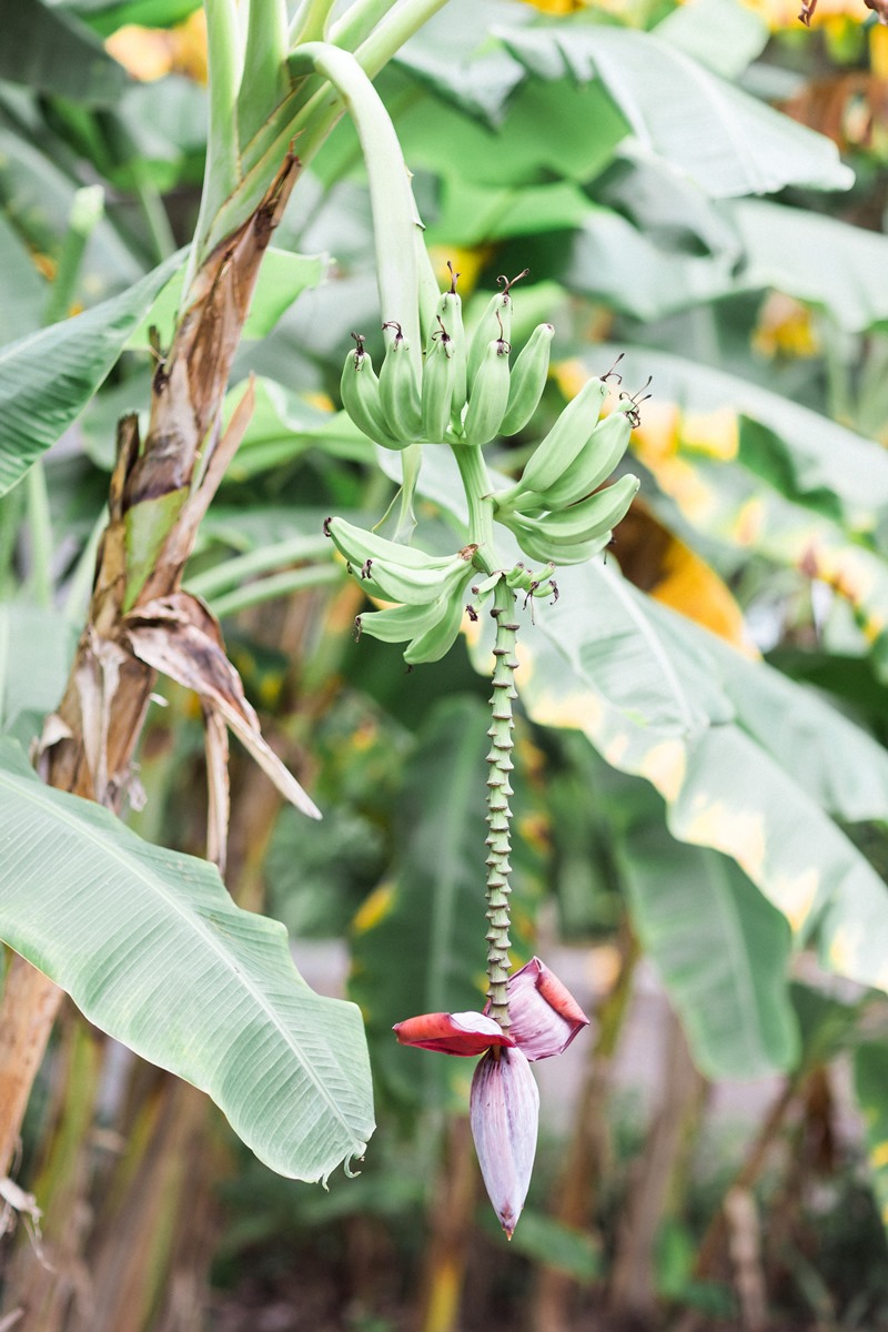Small Sanibel Beach Wedding